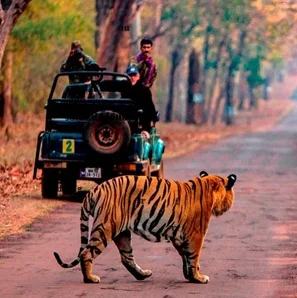 Agence-de-voyage-en-Inde-333