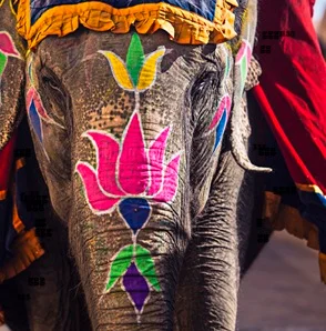 Agence-de-voyage-en-Inde-338