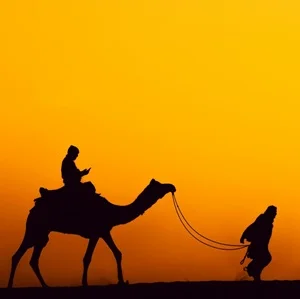 Agence-de-voyage-en-Inde-505