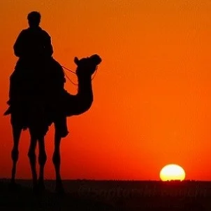 Agence-de-voyage-en-Inde-507